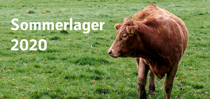 Sommerlager 2020